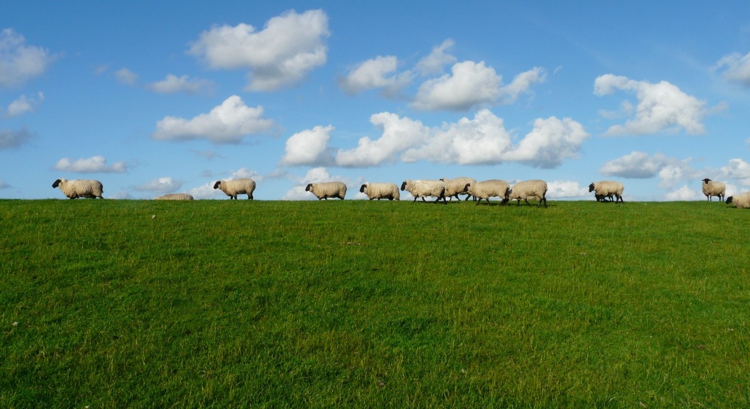 A felhőkről lenézve megszámolja a fűszálakat a farmereket segítő startup